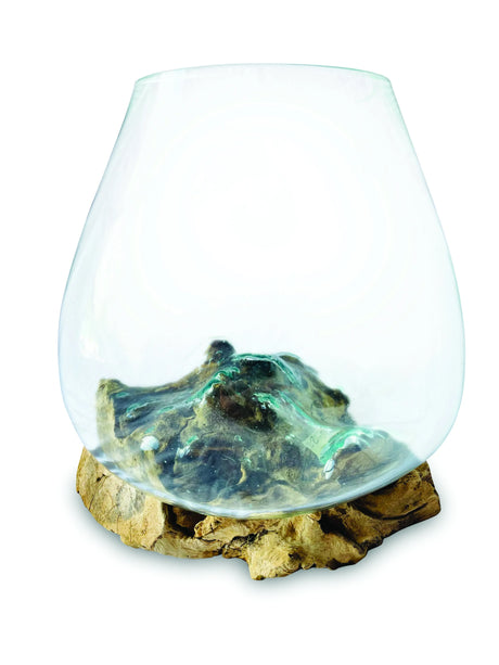 ROOT WITH GLASS BOWL MEDIUM