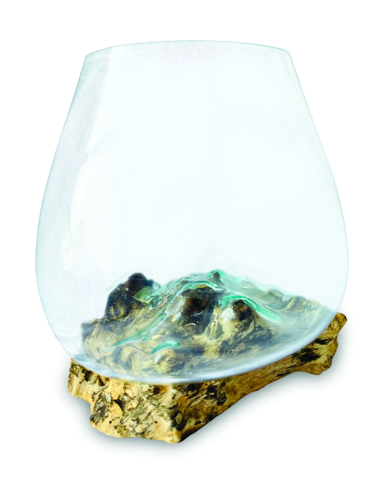 ROOT WITH GLASS BOWL MEDIUM