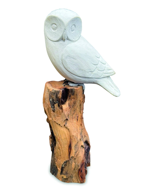 PAINT YOUR OWN SINGLE OWL