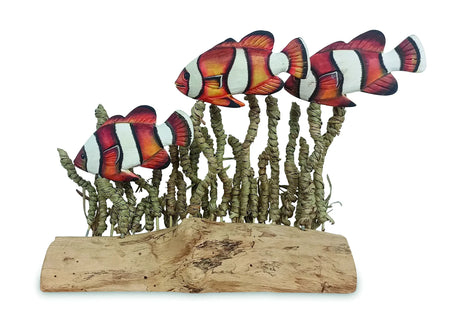 CLOWNFISH SHOAL IN SEAGRASS