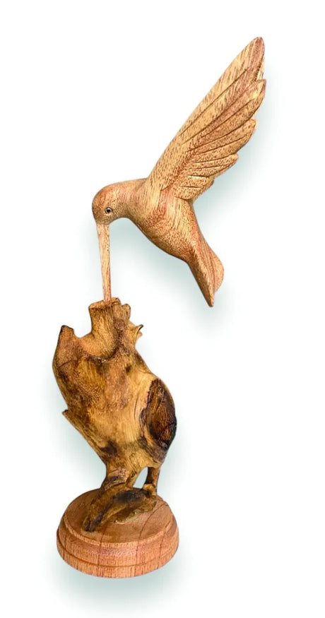 SINGLE HUMMINGBIRD FEEDING