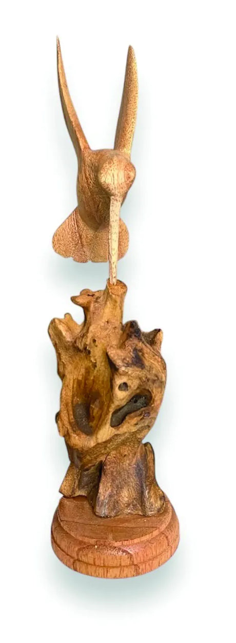 SINGLE HUMMINGBIRD FEEDING