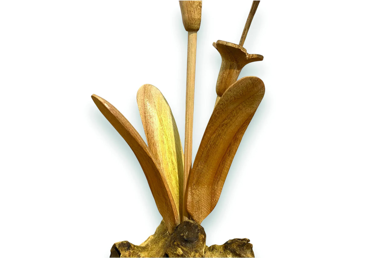 SINGLE HUMMINGBIRD DRINKING NECTAR