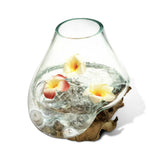 ROOT WITH GLASS BOWL LARGE