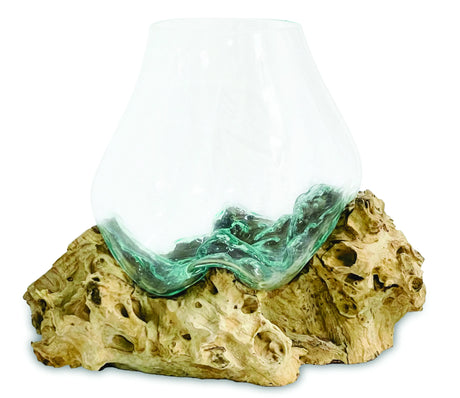 ROOT WITH GLASS BOWL EXTRA LARGE