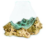 ROOT WITH GLASS BOWL EXTRA LARGE