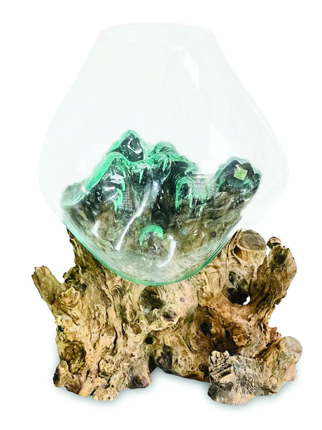 ROOT WITH GLASS BOWL EXTRA EXTRA LARGE