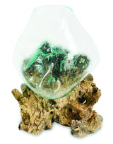 ROOT WITH GLASS BOWL EXTRA EXTRA LARGE