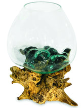 ROOT WITH GLASS BOWL EXTRA EXTRA LARGE