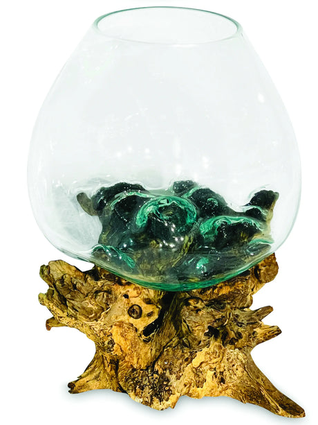 ROOT WITH GLASS BOWL EXTRA EXTRA LARGE