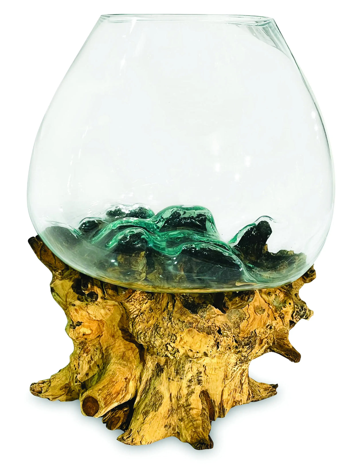 ROOT WITH GLASS BOWL EXTRA EXTRA LARGE