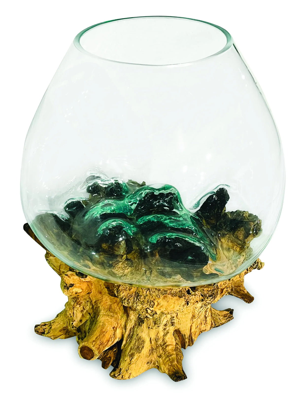 ROOT WITH GLASS BOWL EXTRA EXTRA LARGE