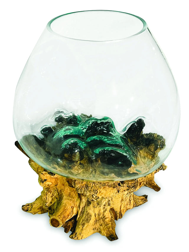 ROOT WITH GLASS BOWL EXTRA EXTRA LARGE