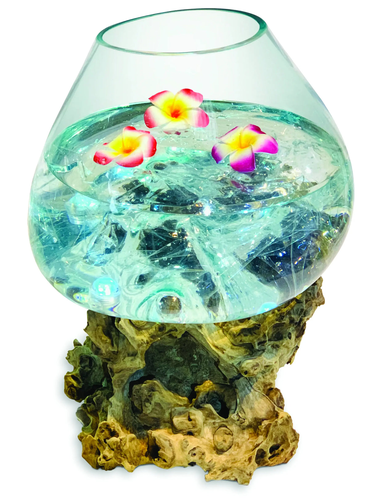 ROOT WITH GLASS BOWL EXTRA EXTRA LARGE