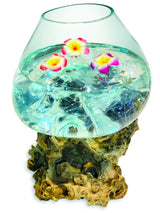 ROOT WITH GLASS BOWL EXTRA EXTRA LARGE