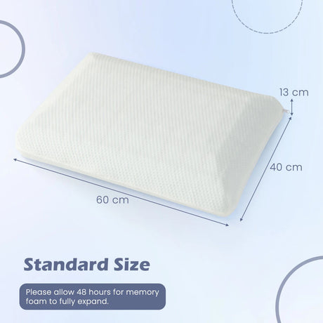 2 Pieces Bamboo Charcoal Memory Foam Pillow for Pain Relief Sleeping
