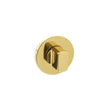 Millhouse Brass WC Turn and Release on 5mm Slimline Round Rose - Polished Brass - Each