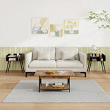 2-Tier Mid Century Modern Nightstand for Living Room Bedroom Set of 2-Black