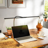 HOMCOM LED Desk Lamp with Clamp, Double Head Table Lamp with 3 Colour Modes & 10 Brightness Levels, Flexible Gooseneck Reading Desk Light with Timer and Memory Function for Study, Office, Work, Black