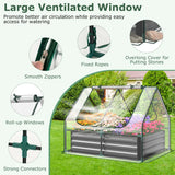 Mini Greenhouse with Roll-up Zipper Doors and Raised Garden Bed-Transparent