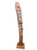 Root Sculpture Wine rack 8 Holder