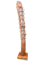 Root Sculpture Wine rack 8 Holder