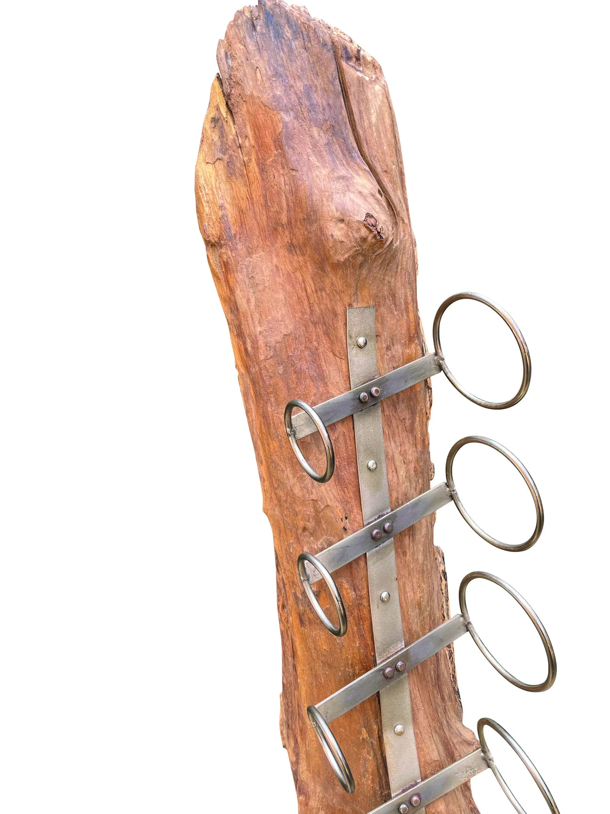 Root Sculpture Wine rack 8 Holder