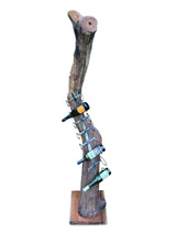 Root Sculpture Wine rack 8 Holder
