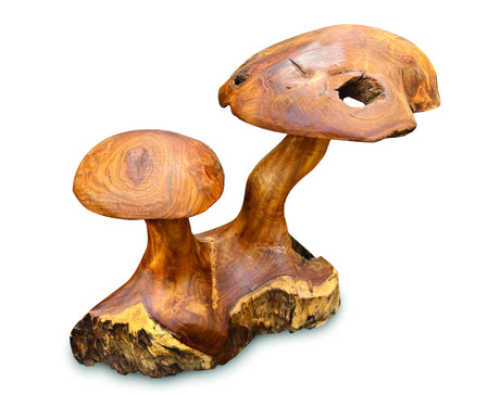 Root Double Mushroom Small