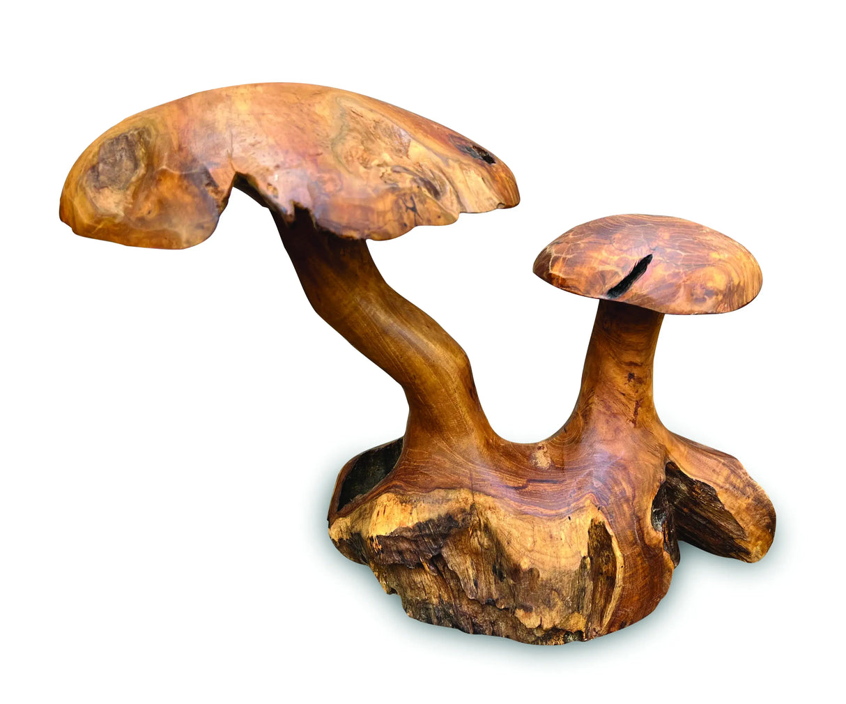 Root Double Mushroom Small