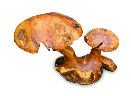 Root Double Mushroom Small