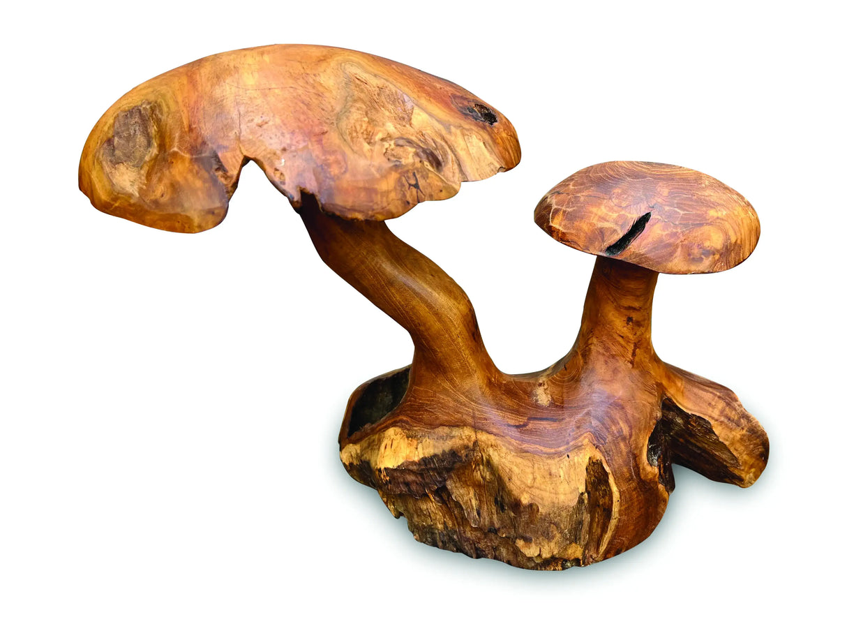 Root Double Mushroom Small