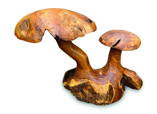 Root Double Mushroom Small