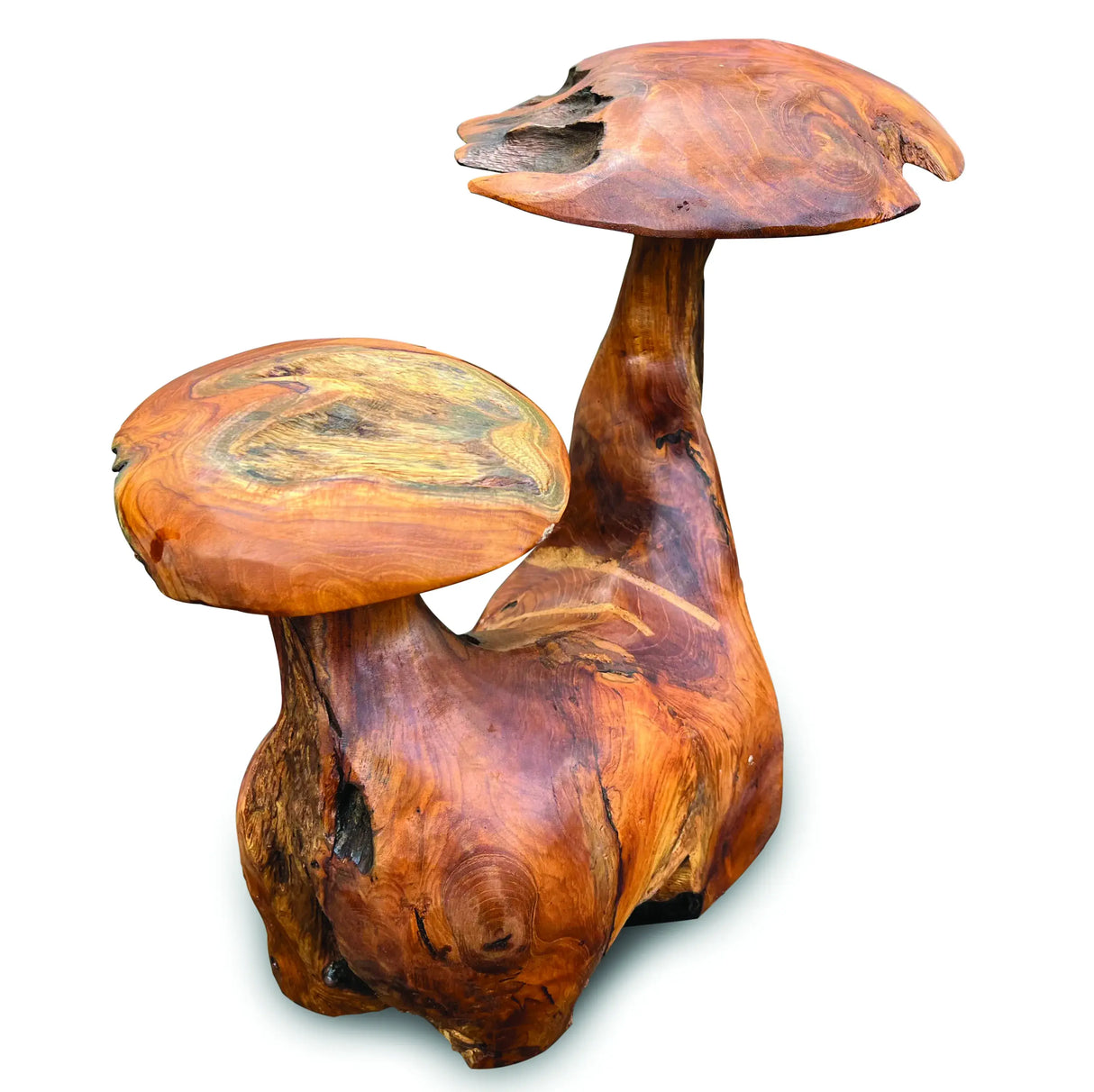 Root Double Mushroom Small