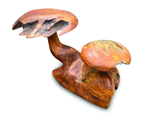 Root Double Mushroom Small