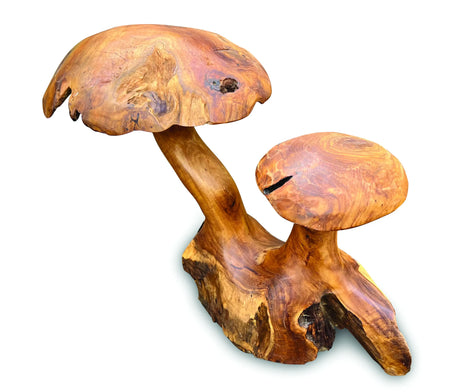 Root Double Mushroom Small