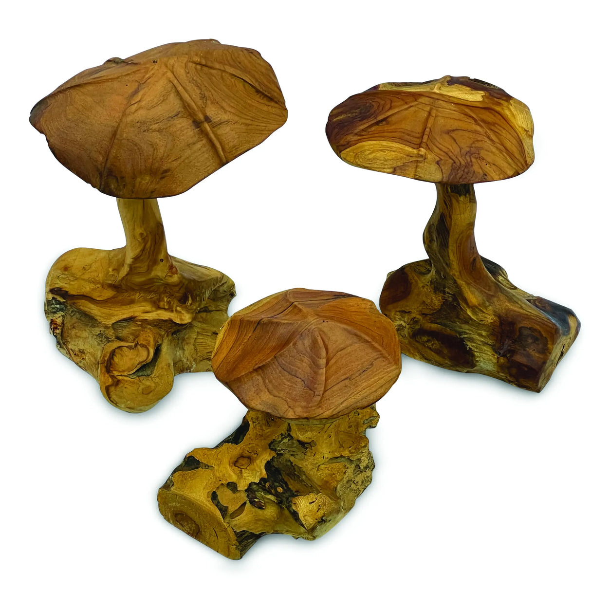 Root Wild Mushroom Small - Set of 3