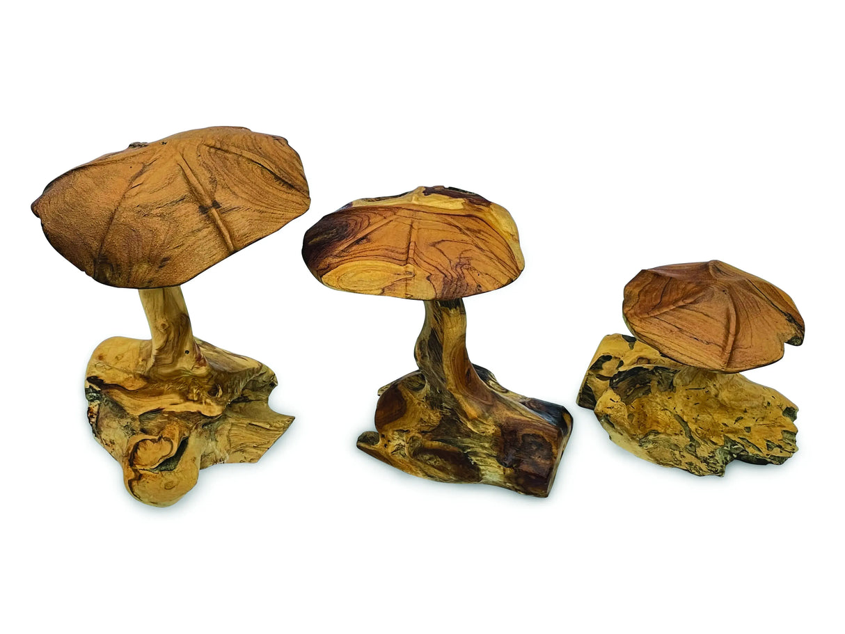 Root Wild Mushroom Small - Set of 3