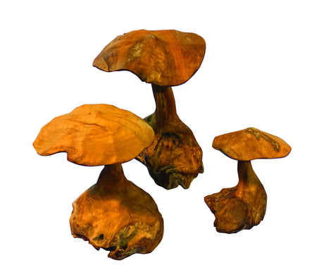 Root Wild Mushroom Small - Set of 3