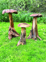 Root Giant Wild Mushroom Set Of 3