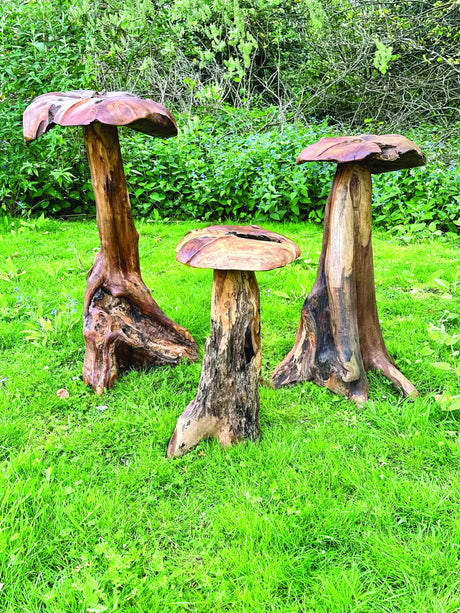 Root Giant Wild Mushroom Set Of 3