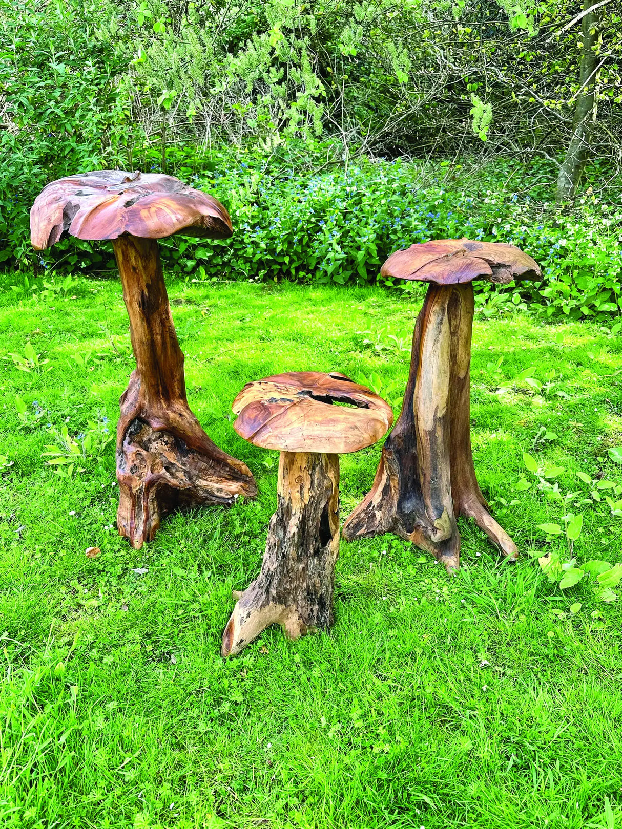 Root Giant Wild Mushroom Set Of 3