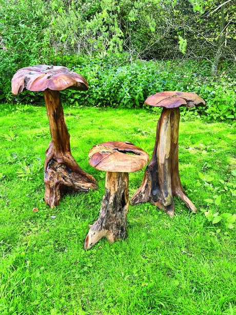 Root Giant Wild Mushroom Set Of 3