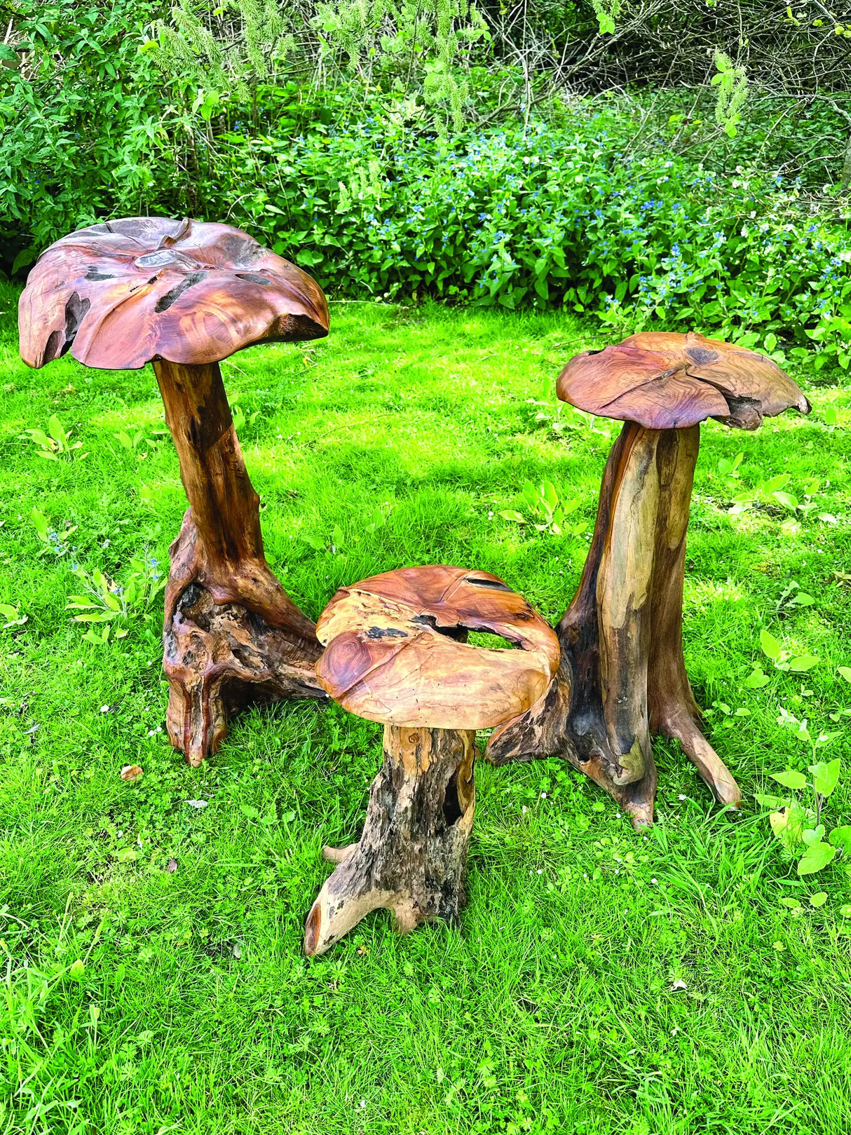 Root Giant Wild Mushroom Set Of 3