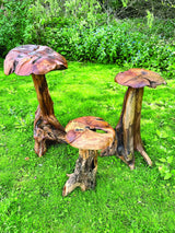 Root Giant Wild Mushroom Set Of 3