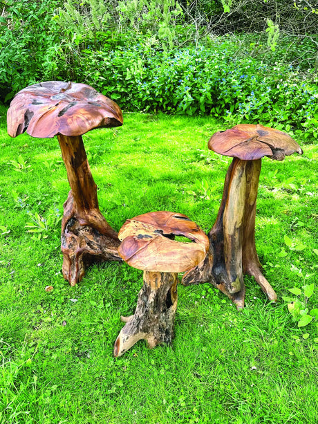 Root Giant Wild Mushroom Set Of 3