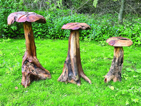 Root Giant Wild Mushroom Set Of 3