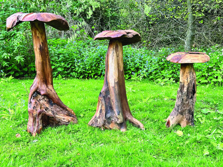 Root Giant Wild Mushroom Set Of 3