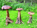 Root Giant Wild Mushroom Set Of 3