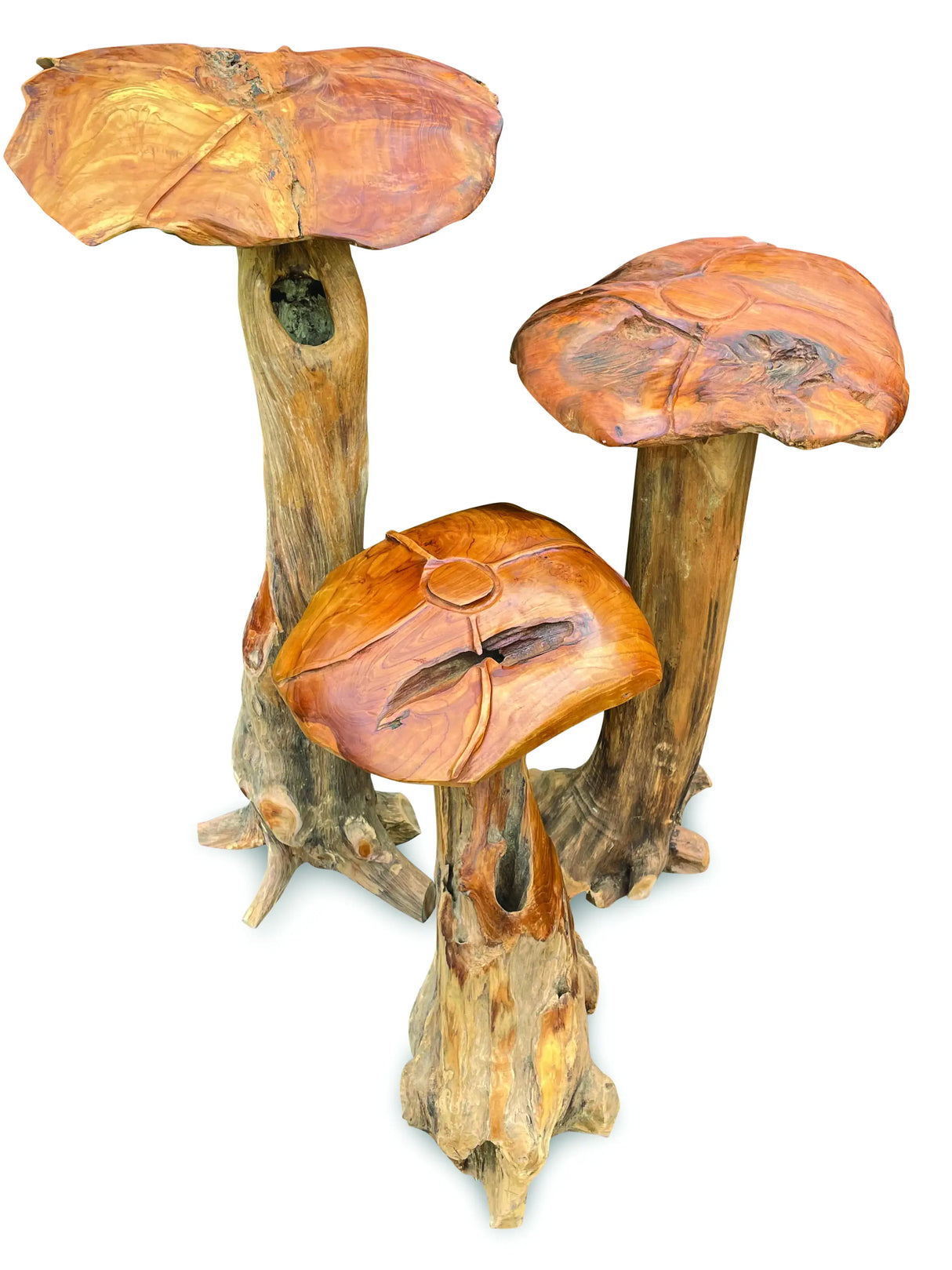 Root Giant Wild Mushroom Set Of 3